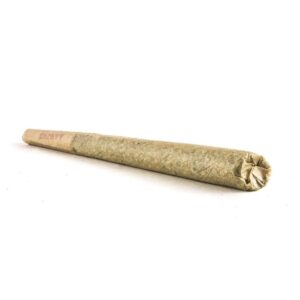 Limoncello Haze THCA Pre-roll — Sativa (1g)