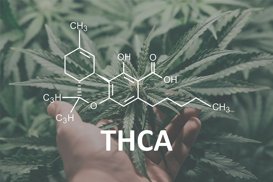 what is thca, lab tests