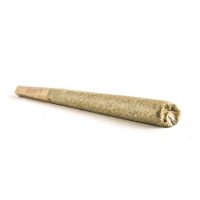 thca pre-roll, purple og kush thca pre-roll