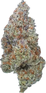 Plasma_Fruit