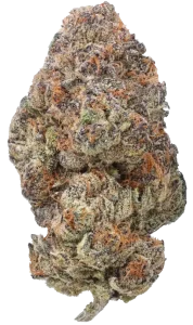 birthdaycakekush