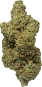 durban_poison