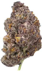 sunday_freezer